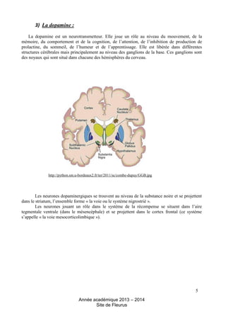 Année académique 2013 – 2014 
Site de Fleurus 
3) La dopamine : La dopamine est un neurotransmetteur. Elle joue un rôle au...