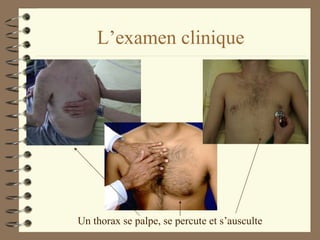 L’examen clinique Un thorax se palpe, se percute et s’ausculte 