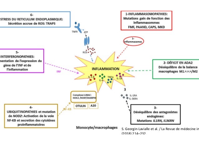 Maladies auto inflammatoires SMMI 2018