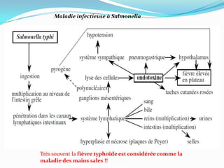 Maladie infectieuse à Salmonella




Très souvent la fièvre typhoïde est considérée comme la
maladie des mains sales !!
 