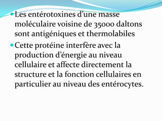  Les entérotoxines d’une masse
  moléculaire voisine de 35000 daltons
  sont antigéniques et thermolabiles
 Cette protéine interfère avec la
  production d’énergie au niveau
  cellulaire et affecte directement la
  structure et la fonction cellulaires en
  particulier au niveau des entérocytes.
 