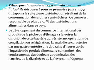  Vibrio parahaemolyticus est un vibrion marin
  halophile découvert pour la première fois en 1951
  au Japon { la suite d’une toxi-infection résultant de la
  consommation de sardines semi-séchées. Ce germe est
  responsable de plus de 50 % des toxi-infections
  alimentaires dans ce pays.
 Le développement du commerce international des
  produits de la pêche ou d’élevage va favoriser la
  diffusion de cette bactérie qui résiste aux opérations de
  congélation ou réfrigération. La maladie se caractérise
  par une gastro-entérite une douzaine d’heures après
  l’ingestion du produit alimentaire contaminé ; des
  vomissements, des douleurs abdominales, des
  nausées, de la diarrhée et de la fièvre sont fréquents
 