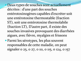  Deux types de souches sont actuellement
  décrites : d’une part des souches
  entérotoxinogènes capables d’excréter soit
  une entérotoxine thermostable (fraction
  ST), soit une entérotoxine thermolabile
  (fraction LT), D’autre part, il existe des
  souches invasives provoquant des diarrhées
  aigues, avec fièvre, myalgies et frissons
 Parmi les sérotypes, les plus souvent
  responsables de cette maladie, on peut
  signaler 0 25, 0 27, 0 111, 0 115, 0 124, 0 157
 