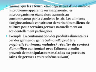  l’animal qui les a fourni était déj{ atteint d’une maladie
  microbienne apparente ou inapparente, les
  microorganismes étant alors transmis au
  consommateur par la viande ou le lait. Les aliments
  d’origine animale constituent de véritables milieux de
  culture pour certains germes naturellement ou
  accidentellement pathogènes.
 Exemple: La contamination des produits alimentaires
  par des germes du genre Salmonella peut être
  originelle (animaux malades), résulter du contact
  d’un milieu contaminé avec l’aliment et enfin
  provenir de manipulateurs malades ou porteurs
  sains de germes ( voire schéma suivant)
 