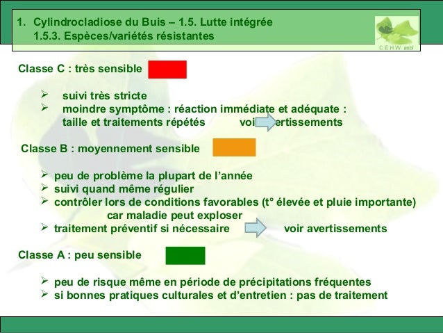 maladies buis rosiers et avertissements 23 638
