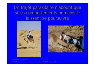 Eau, santEau, santéé et oasis duet oasis du
SaharaSahara .Dr Dominique SASSOON..Dr Dominique SASSOON.
Un trajet parasitaire nUn trajet parasitaire n’’aboutit queaboutit que
si les comportements humains lesi les comportements humains le
laissent se poursuivrelaissent se poursuivre
 