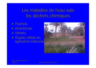 Eau, santEau, santéé et oasis duet oasis du
SaharaSahara .Dr Dominique SASSOON..Dr Dominique SASSOON.
Les maladies de lLes maladies de l’’eau saleeau sale
les dles dééchets chimiqueschets chimiques
FluoroseFluorose
ArsenicismeArsenicisme
NitratesNitrates
Engrais utilisEngrais utiliséés ens en
agriculture intensiveagriculture intensive
 