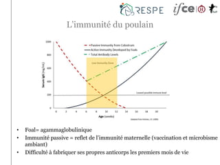 L’immunité du poulain
• Foal= agammaglobulinique
• Immunité passive = reflet de l’immunité maternelle (vaccination et microbisme
ambiant)
• Difficulté à fabriquer ses propres anticorps les premiers mois de vie
 