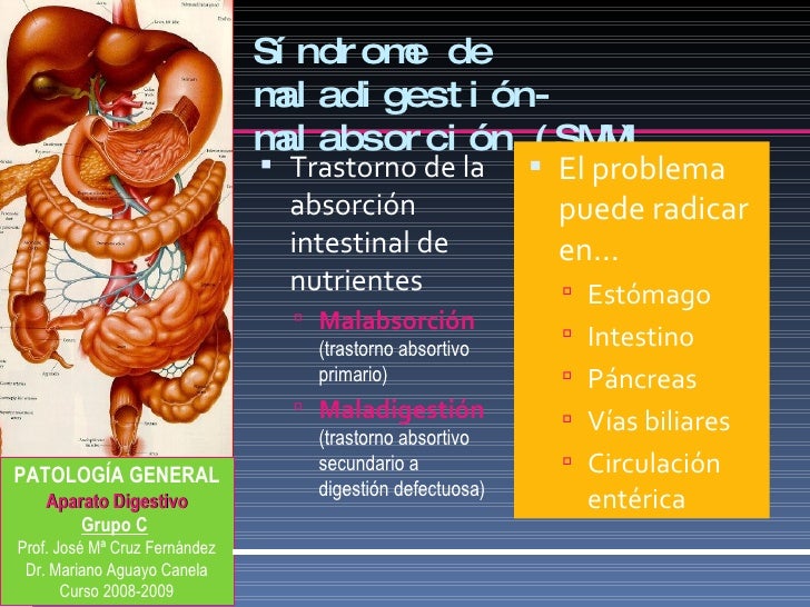 Maladigestion Y Malabsorcion Tema 37 Plus