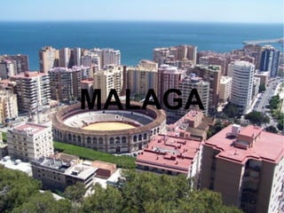 MALAGA
 