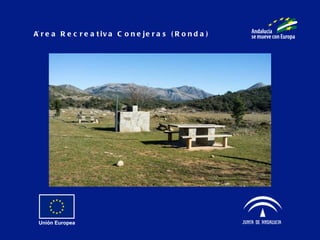 Área Recreativa Conejeras (Ronda) 