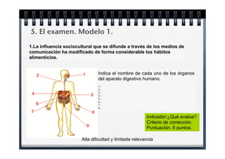 5. El examen. Modelo 1.
1.La influencia sociocultural que se difunde a través de los medios de
comunicación ha modificado de forma considerable los hábitos
alimenticios.


                               Indica el nombre de cada uno de los órganos
                               del aparato digestivo humano.
                               1.-
                               2.-
                               3.-
                               4.-
                               5.-
                               6.-
                               7.-
                               8.-


                                                        Indicador:¿Qué evalúa?
                                                        Criterio de corrección.
                                                        Puntuación. 8 puntos.

                       Alta dificultad y limitada relevancia
 