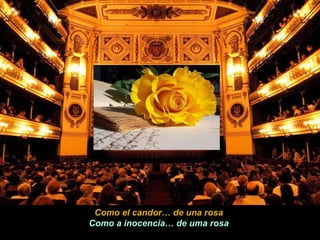 Como el candor… de una rosa Como a inocencia… de uma rosa 