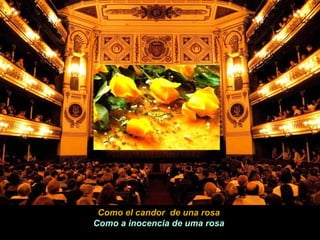Como el candor  de una rosa Como a inocencia de uma rosa 