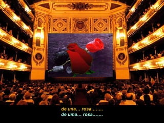 de una… rosa…….. de uma… rosa……. 