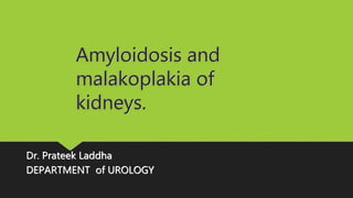 Amyloidosis and
malakoplakia of
kidneys.
Dr. Prateek Laddha
DEPARTMENT of UROLOGY
 