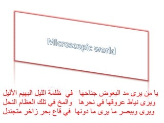 يا من يرى مد البعوض جناحها  في  ظلمة الليل البهيم الأليل ويرى نياط عروقها في نحرها  والمخ في تلك العظام النحل ويرى ويبصر ما يرى ما دونها  في قاع بحر زاخر متجندل 