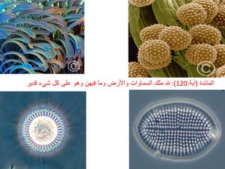 المائدة   ( آية :120):  لله ملك السماوات والأرض وما فيهن وهو على كل شيء قدير  