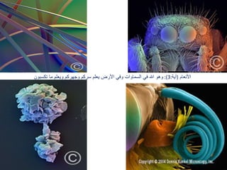 الأنعام   ( آية :3):  وهو الله في السماوات وفي الأرض يعلم سركم وجهركم ويعلم ما تكسبون  