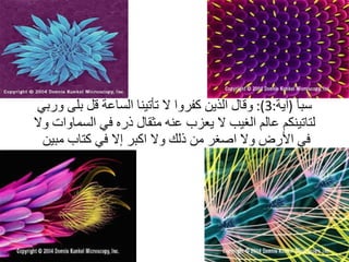 سبأ   ( آية :3):  وقال الذين كفروا لا تأتينا الساعة قل بلى وربي لتاتينكم عالم الغيب لا يعزب عنه مثقال ذره في السماوات ولا في الأرض ولا اصغر من ذلك ولا اكبر إلا في كتاب مبين  