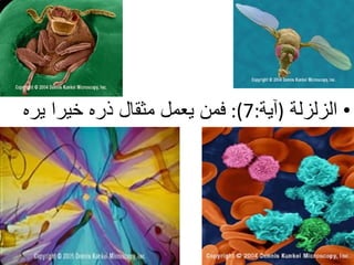 الزلزلة   ( آية :7):  فمن يعمل مثقال ذره خيرا يره  