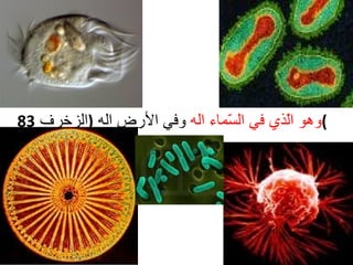 وهو الّذي في السّماء اله  وفي الأرض اله  ( الزخرف  83 ) 