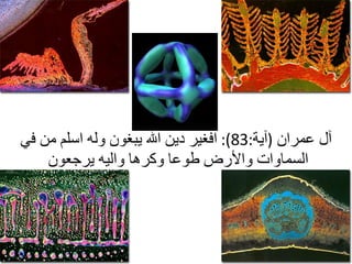 آل عمران   ( آية :83):  افغير دين الله يبغون وله اسلم من في السماوات والأرض طوعا وكرها واليه يرجعون  