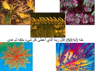 طه   ( آية :50):  قال ربنا الذي أعطى كل شيء خلقه ثم هدى  