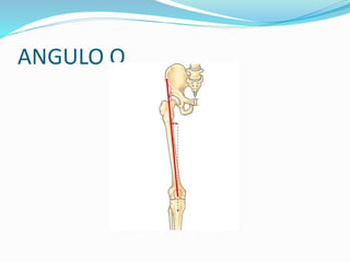Mal alineamiento patelofemoral | PPTX