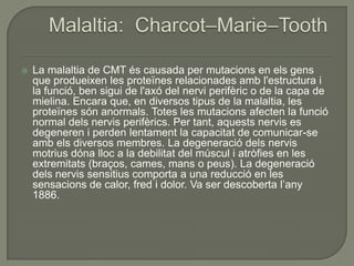    La malaltia de CMT és causada per mutacions en els gens
    que produeixen les proteïnes relacionades amb l'estructura i
    la funció, ben sigui de l'axó del nervi perifèric o de la capa de
    mielina. Encara que, en diversos tipus de la malaltia, les
    proteïnes són anormals. Totes les mutacions afecten la funció
    normal dels nervis perifèrics. Per tant, aquests nervis es
    degeneren i perden lentament la capacitat de comunicar-se
    amb els diversos membres. La degeneració dels nervis
    motrius dóna lloc a la debilitat del múscul i atròfies en les
    extremitats (braços, cames, mans o peus). La degeneració
    dels nervis sensitius comporta a una reducció en les
    sensacions de calor, fred i dolor. Va ser descoberta l’any
    1886.
 
