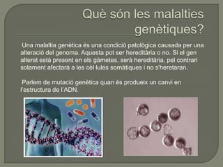 Una malaltia genètica és una condició patològica causada per una
alteració del genoma. Aquesta pot ser hereditària o no. Si el gen
alterat està present en els gàmetes, serà hereditària, pel contrari
solament afectarà a les cèl·lules somàtiques i no s'heretaran.

 Parlem de mutació genètica quan és produeix un canvi en
l’estructura de l’ADN.
 