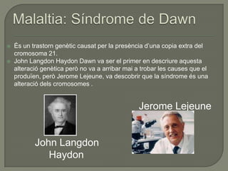    És un trastorn genètic causat per la presència d’una copia extra del
    cromosoma 21.
   John Langdon Haydon Dawn va ser el primer en descriure aquesta
    alteració genètica però no va a arribar mai a trobar les causes que el
    produïen, però Jerome Lejeune, va descobrir que la síndrome és una
    alteració dels cromosomes .


                                                 Jerome Lejeune


           John Langdon
              Haydon
 