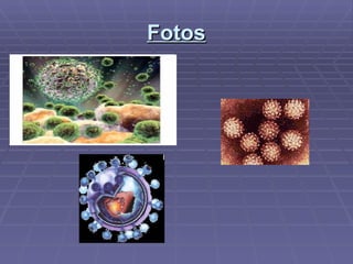 Fotos 