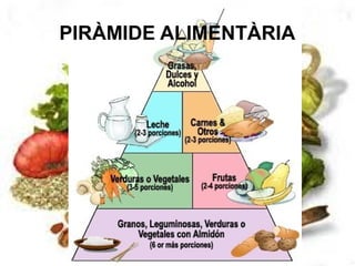 PIRÀMIDE ALIMENTÀRIA
 