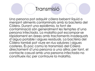 Transmisió <ul><li>Una persona pot adquirir còlera bebent líquid o menjant aliments contaminats amb la bacteria del Còlera...