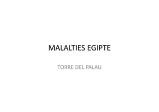MALALTIES EGIPTE
TORRE DEL PALAU
 