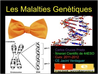 Les Malalties Genètiques




             · Carlos Cruces Prieto
             · Ítinerari Científic de 4rtESO
             · Curs: 2011-2012
             · CE Jacint Verdaguer
 