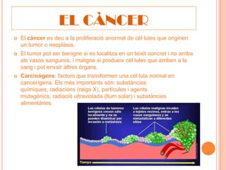 EL CÀNCER
   El càncer es deu a la proliferació anormal de cèl·lules que originen
    un tumor o neoplàsia.
   El tumor pot ser benigne si es localitza en un teixit concret i no arriba
    als vasos sanguinis, i maligne si produeix cèl·lules que arriben a la
    sang i pot envair altres òrgans.
   Carcinògens: factors que transformen una cèl·lula normal en
    cancerígena. Els més importants són: substàncies
    químiques, radiacions (raigs X), partícules i agents
    mutagènics, radiació ultraviolada (llum solar) i substàncies
    alimentàries.
 