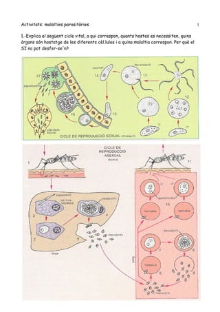 Activitats: malalties parasitàries                                                        1

1.-Explica el següent cicle vital, a qui correspon, quants hostes es necessiten, quins
òrgans són hostatge de les diferents cèl.lules i a quina malaltia correspon. Per què el
SI no pot desfer-se'n?
 