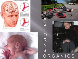 T
R
A
S
T
O
R
N
S
ORGÀNICS
 