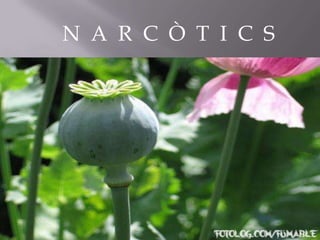 N A R C Ò T I C S
 