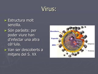 Virus:
► Estructura   molt
  senzilla.
► Són paràsits: per
  poder viure han
  d’infectar una altra
  cèl·lula.
► Van ser descoberts a
  mitjans del S. XX
 