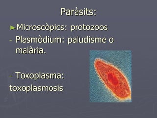 Paràsits:
►Microscòpics: protozoos
- Plasmòdium: paludisme o
  malària.

- Toxoplasma:
toxoplasmosis
 