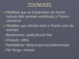 ZOONOSIS
► Malalties que es transmeten de forma
  natural dels animals vertebrats a l’home i
  viceversa.
► Malalties que afecten tant a l’home com als
  animals.
 Bacterianes: pesta,brucel·losi
 Víriques: ràbia
 Parasitàries: tènia,triquinosi,leishmaniasi
 Per fongs: micosis
 