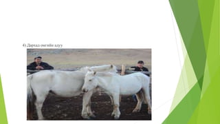 4) Дархад омгийн адуу
 