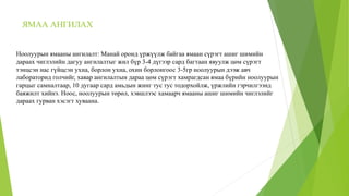 ЯМАА АНГИЛАХ
Ноолуурын ямааны ангилалт: Манай оронд үржүүлж байгаа ямаан сүрэгт ашиг шимийн
дараах чиглэлийн дагуу ангилалтыг жил бүр 3-4 дүгээр сард багтаан явуулж цөм сүрэгт
тэнцсэн нас гүйцсэн ухна, борлон ухна, охин борлонгоос 3-5гр ноолуурын дээж авч
лабораторид голчийг, хавар ангилалтын дараа цөм сүрэгт хамрагдсан ямаа бүрийн ноолуурын
гарцыг самналтаар, 10 дугаар сард амьдын жинг тус тус тодорхойлж, үржлийн гэрчилгээнд
баяжилт хийнэ. Ноос, ноолуурын төрөл, хэвшлээс хамаарч ямааны ашиг шимийн чиглэлийг
дараах гурван хэсэгт хуваана.
 