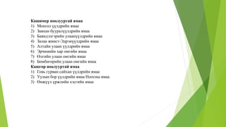 Кашимер ноолууртай ямаа
1) Монгол үүлдрийн ямаа
2) Завхан бууралүүлдрийн ямаа
3) Баяндэлгэрийн улаанүүлдрийн ямаа
4) Залаа жинст-Эдрэнүүлдрийн ямаа
5) Алтайн улаан үүлдрийн ямаа
6) Эрчимийн хар омгийн ямаа
7) Өлгийн улаан омгийн ямаа
8) Бөмбөгөрийн улаан омгийн ямаа
Кашгор ноолууртай ямаа
1) Говь гурван сайхан үүлдрийн ямаа
2) Уулын бор үүлдрийн ямаа Ноосны ямаа
3) Өнжүүл үржлийн хэсгийн ямаа
 