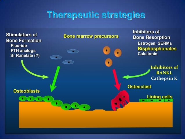 Novel Formulations Of Oral Bisphosphonates In The Treatment Of ...