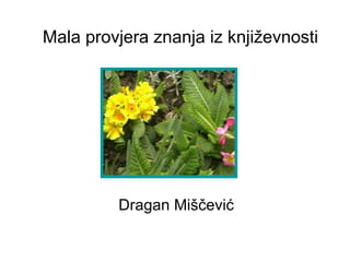 Mala provjera znanja iz književnosti Dragan Miščević 