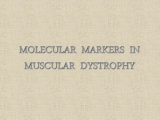 molecular markers in muscular dystrophy | PPTX